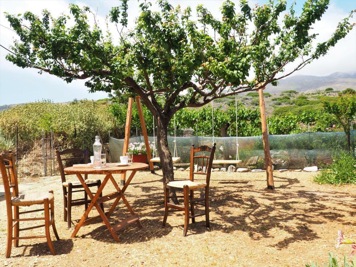 Traditional Cretan Villa Rodhopos Exterior foto